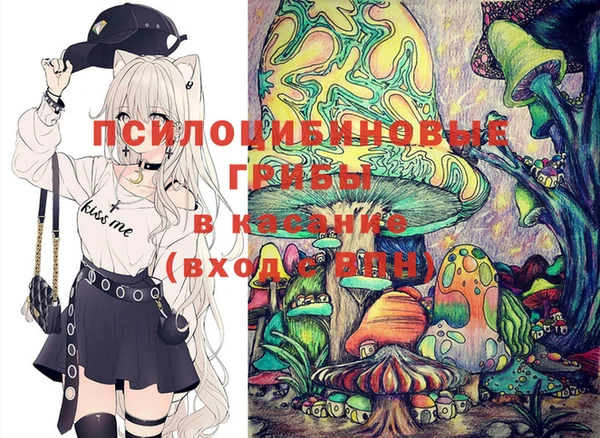 таблы Белокуриха