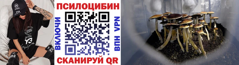 MEGA маркетплейс  сколько стоит  Кораблино  Псилоцибиновые грибы MAGIC MUSHROOMS 